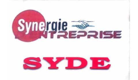 Logo Synergie d'Entreprise